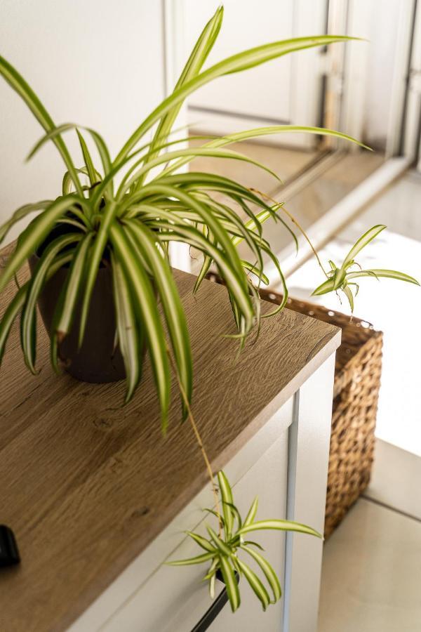 Villa Sainterne Le Bois de Nefles  외부 사진